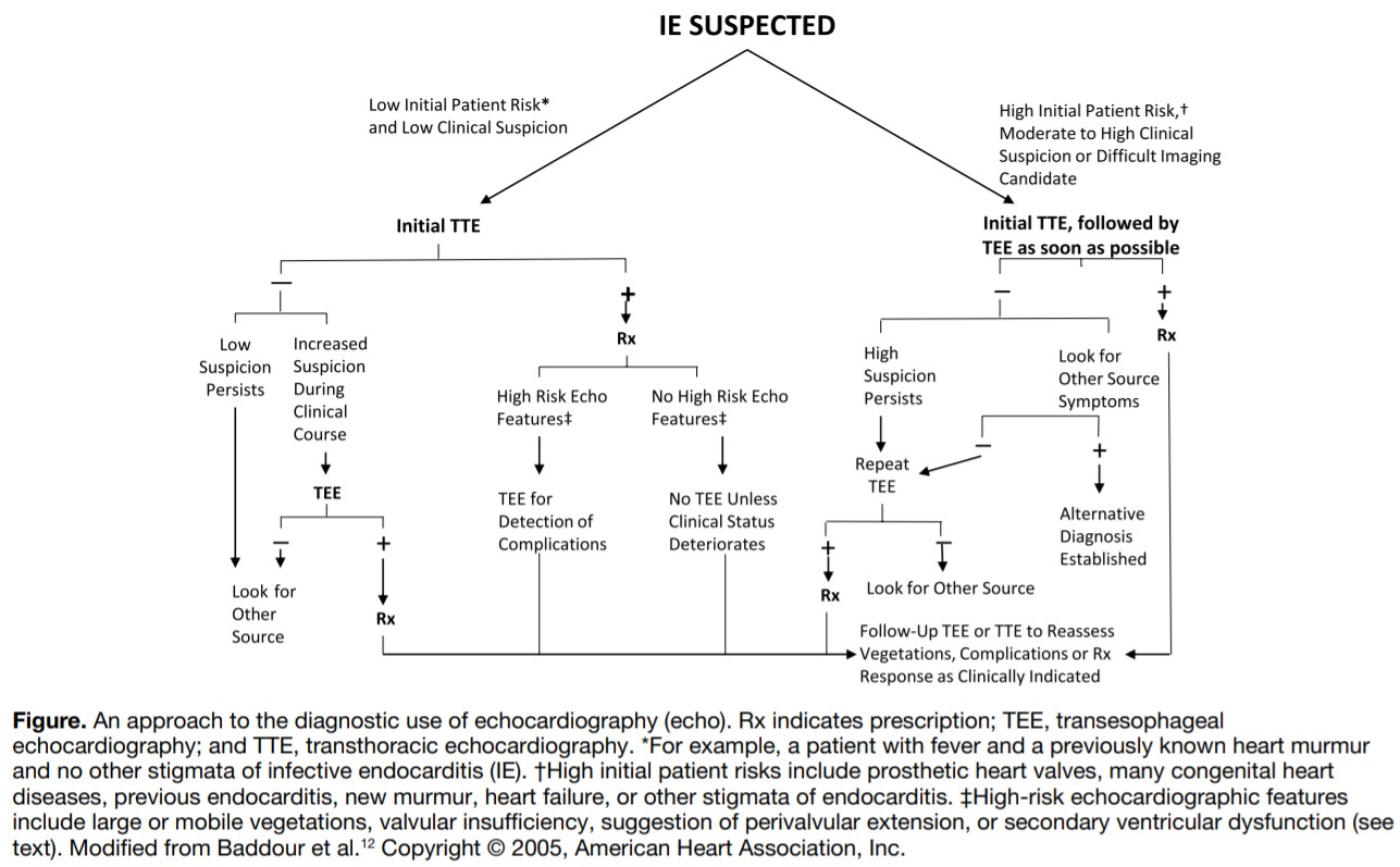 Endocarditis Diagnosis And Treatment BC Emergency Medicine Network